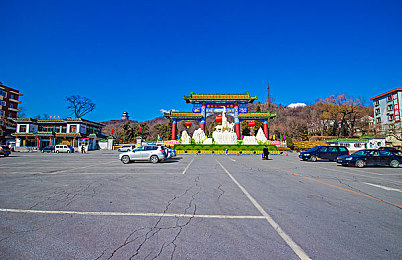 美国Zoom大狗锁｜美国创新宠物安全装置Zoom大狗锁走红，引领宠物安全新潮流-2