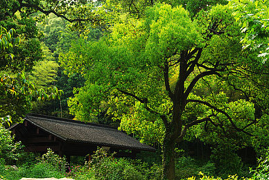 攻演戏时真进去了H｜《侠客风云传》深度解析：沉浸式角色扮演，打造个人江湖传奇-2