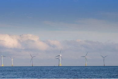 绿巨人破解版冷眸|破解软件热潮引发法律风险与用户反思-2