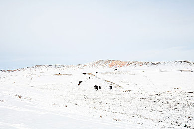 网站你懂我|个性化推荐:网站懂你,未来趋势解读-4