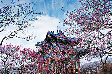 美国式禁忌|揭开禁忌之谜,探索美国文化隐秘面纱-2