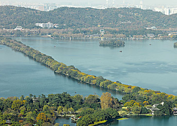 XXXXXXX中国｜创新引擎驱动，中国XXXXXXX领域成就瞩目，共筑全球科技新篇章-2