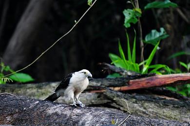 男男被特种兵们 的合不拢|生死救援,特种兵与战士的深情合拢-3