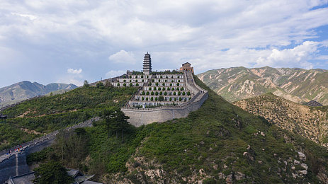 不知火舞和三个小孩森林公园|奇遇森林,舞动火影,亲子探险之旅-2