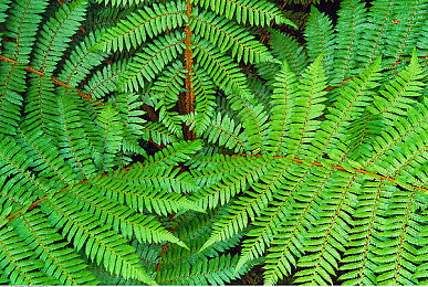 者色与久久网络｜奇幻探险之旅，者色世界等你来征服-2