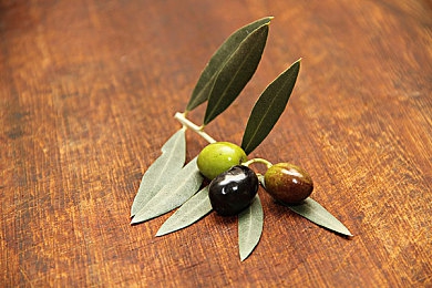 红桃17c视频永久免费入口｜揭秘视觉狂欢：红桃17c，免费畅享影视盛宴-3