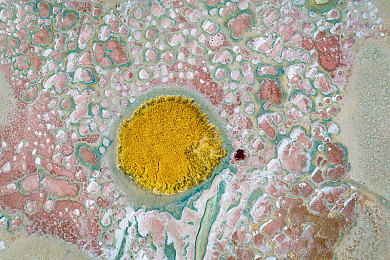 按摩师添我做爰全过|按摩师陷阱:揭秘违规服务,守护和谐消费-1