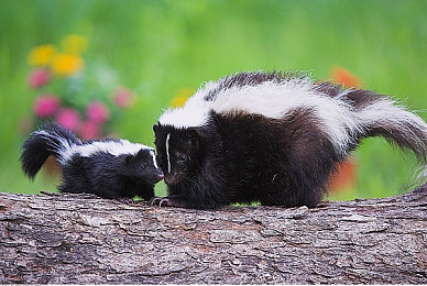 十年沉淀｜十年砥砺，文脉相承，都市新篇-3