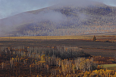 男生女生打扑克软件｜“男生女生打扑克软件”走红：揭示网络游戏社交新趋势与产业潜力-3