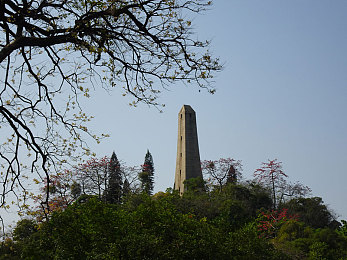 麻豆国产电影｜华语电影惊艳世界,年轻视角开辟新天地-4