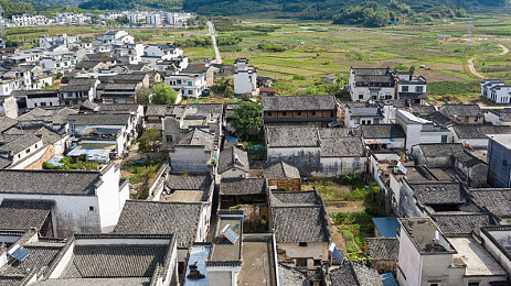 冰块棉签酒精怎么弄出牛奶|冰块棉签酒精魔法,揭秘牛奶变身奥秘-2