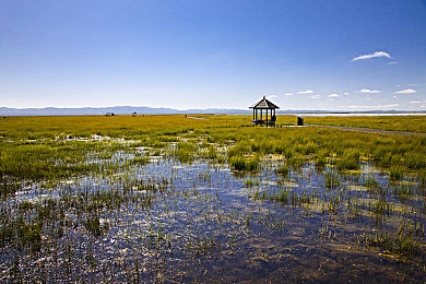 可爱 得到 青少年 无尽 动漫|萌动青春,动漫奇遇记:可爱元素打造无限欢乐之旅-1