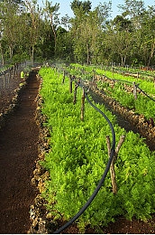 苍老师大战黑人120分钟|健身达人挑战:苍老师VS黑人,120分钟热血对决-2