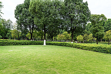 沈阳大姨叫的真好听｜沈阳大姨声声传情，地域文化韵律悠长-1