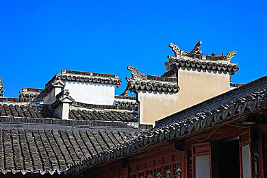 夜月直播app下载免费看｜夜月直播全新上线，用户热议期待中-2