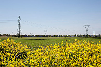 国产AV秘 天美传媒｜探索情感与欲望的秘境之旅-2