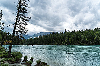 性猛交富婆╳Ⅹ乱大交|性猛交富婆软件走红,全新互动娱乐体验引发热议-1
