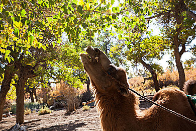 三上悠亚AV｜成人行业女性代表三上悠亚引发性教育热议-2