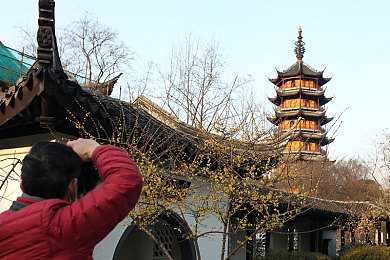 45岁沈阳阿姨叫的真好听｜沈阳天籁阿姨：歌声传爱，梦想绽放无声处-1