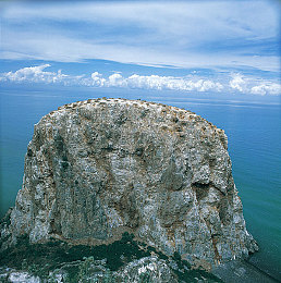 wwwww黄｜千年黄家传奇，探寻文化瑰宝之旅-2