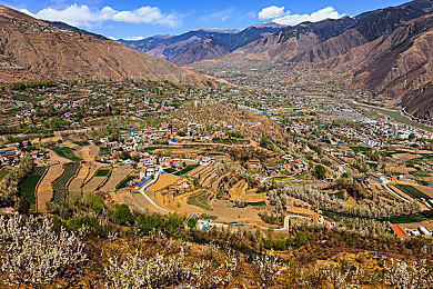 视频久久｜短视频新贵“视频久久”：揭秘平台持久魅力，用户互动体验升级