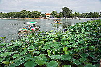 福瑞furry游戏game18|福瑞奇幻之旅,绘梦互动盛宴-3