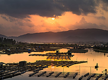 黄色软件免费下载安装｜净化网络，健康下载，守护青少年成长之路-2