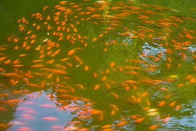 免费剧烈运动扑克视频下载软件｜健身娱乐两不误，运动扑克共舞动-3