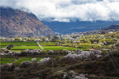 万影网｜万影网影视库，海量精选，轻松观影乐趣多-3