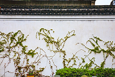 黑料老司机,不打烊,黑料|揭秘黑料江湖:老司机不打烊,真相追踪者-2