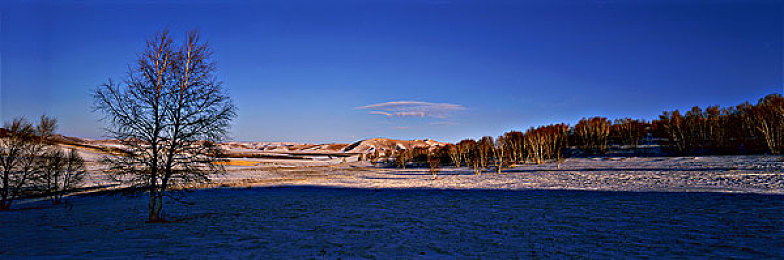 海影库|深海探险之旅:邂逅奇遇,畅游百种海洋生物-3