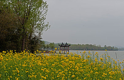 小熊移植汉化版安卓下载｜破译语言壁垒，畅游小熊汉化世界-2