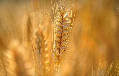 国外汉责文化spanking｜教育新思维,摆脱传统体罚的枷锁-3