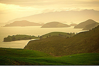 中文最新天堂8√|天堂8√热潮席卷游戏圈:揭秘神秘背景与争议焦点-2