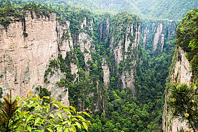 99这里｜线上线下融合，99这里创新之旅，解锁新经济模式魅力-1