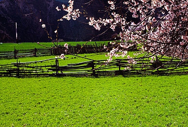 MAYA玛雅18最新登录方法｜MAYA玛雅18新登录法，便捷安全畅享游戏乐趣-2