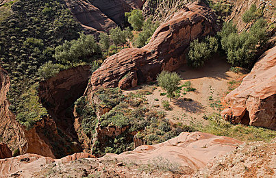 女生把筷子放屁里眼里不能掉|女生餐厅怪异行为引发热议:餐桌礼仪与公共道德再思考-1