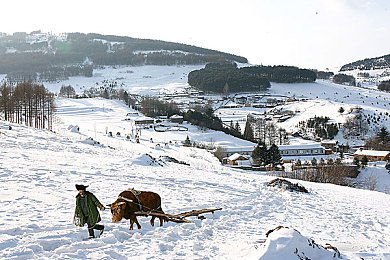黄台入口|智慧黄台,一触即达,生活无忧-2