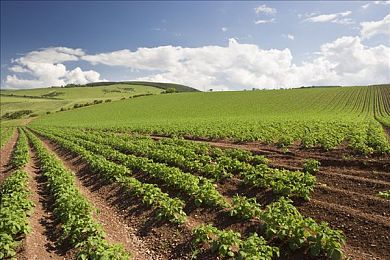 老师用丝袜   绑j｜教师丝袜不当行为引发社会热议，教育环境与师德问题再成焦点-1