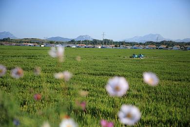 年轻富婆被按摩师摸高潮了｜揭秘：年轻富婆高端按摩之旅，体验身心放松与心灵满足-3