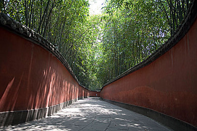 婷婷六月天｜夏季护肤新潮流：“婷婷六月天”引领肌肤水润光泽-3