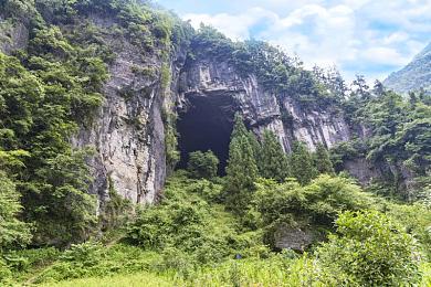 裸体护士的性服务｜裸体护士性服务：揭秘独特体验与消费技巧，揭秘行业隐秘面纱