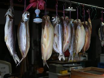 男生机机桶女生机机｜欢乐桶中趣味无限，男女共享欢乐时光-2