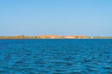 淫荡网站|网络清朗行动升级:大规模打击淫秽网站,共筑清朗网络家园-2