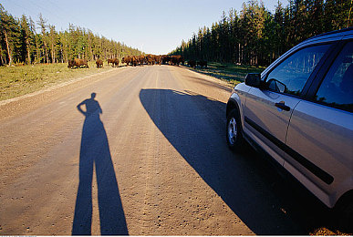 惩罚男同扒开 用棉签和冰块｜冰签之痛：同性恋者的无声抗争-3