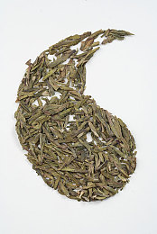 欧美卡一｜揭开欧美巅峰之作，探寻艺术科技时尚的魅力