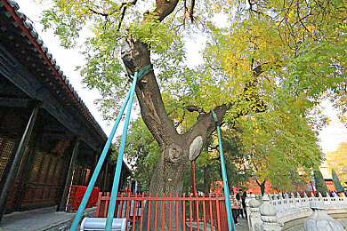 9久热｜“酷暑难耐，9久热现象下的生活挑战与应对策略全面解析”-1