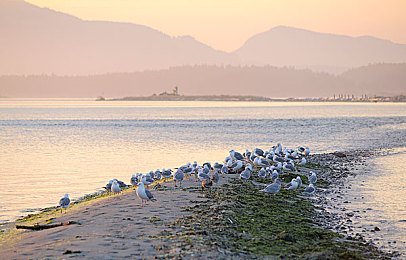 吃瓜网独家爆料曝光揭秘｜娱乐圈独家揭秘：吃瓜大作战-1