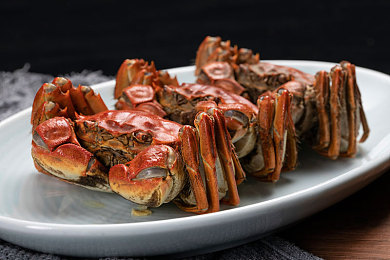 x9x9x9任意噪2023入口｜神秘数字之门，探索未知虚拟世界-2