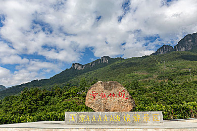 五月天淫淫网|揭秘粉丝日常,五月天直播狂欢之旅-4